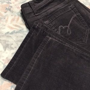 bandolino corduroy pants